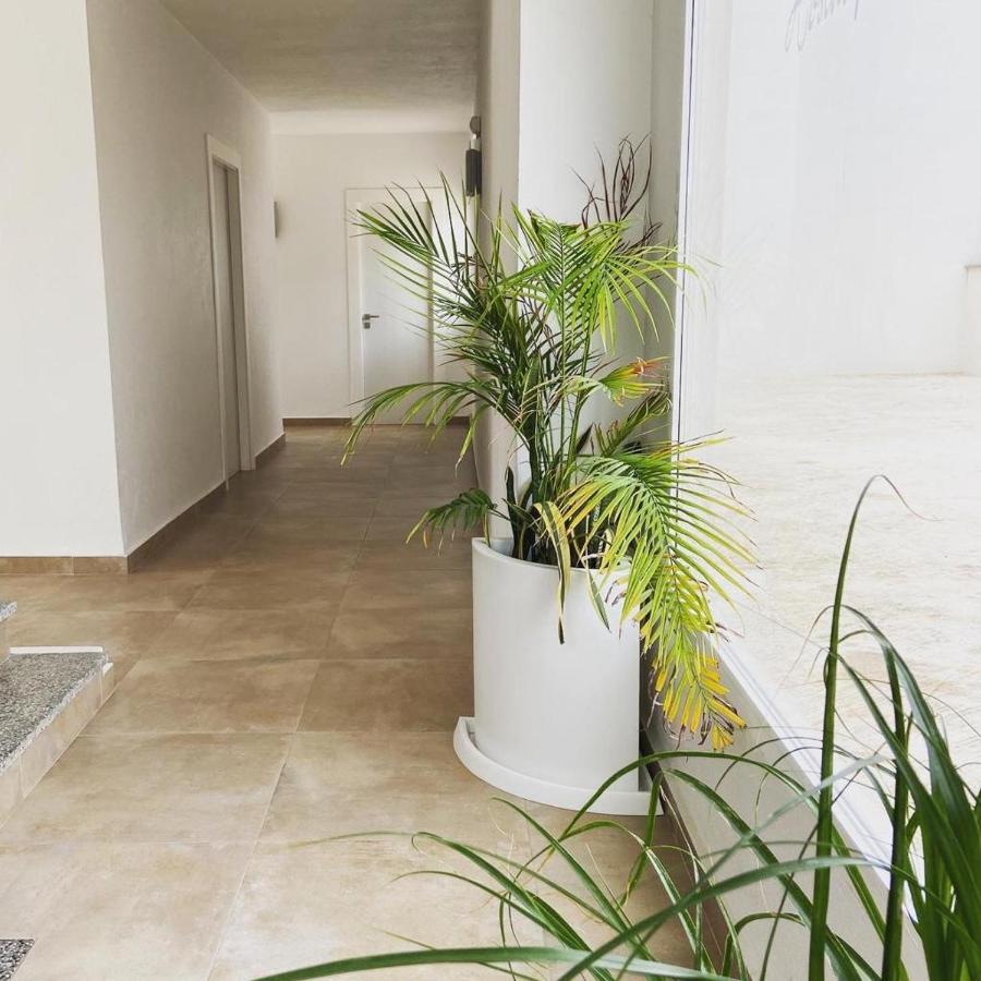 איביזה העיר Hostal Pitiusa מראה חיצוני תמונה